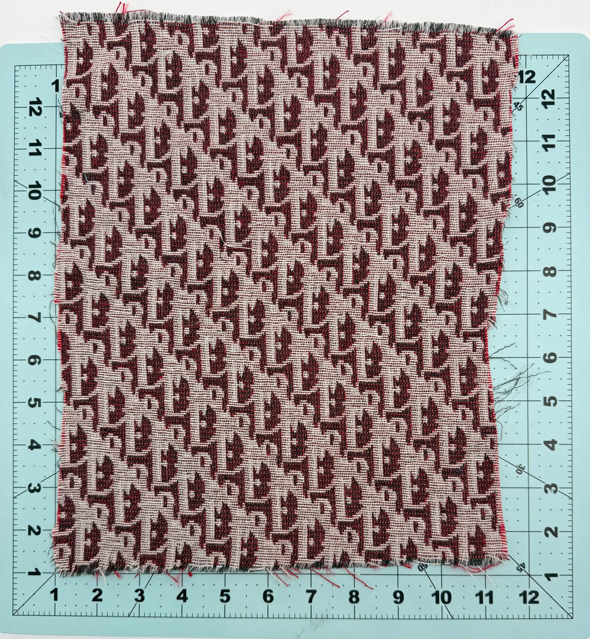 2PC “DIOR” LOGO FABRIC SET
