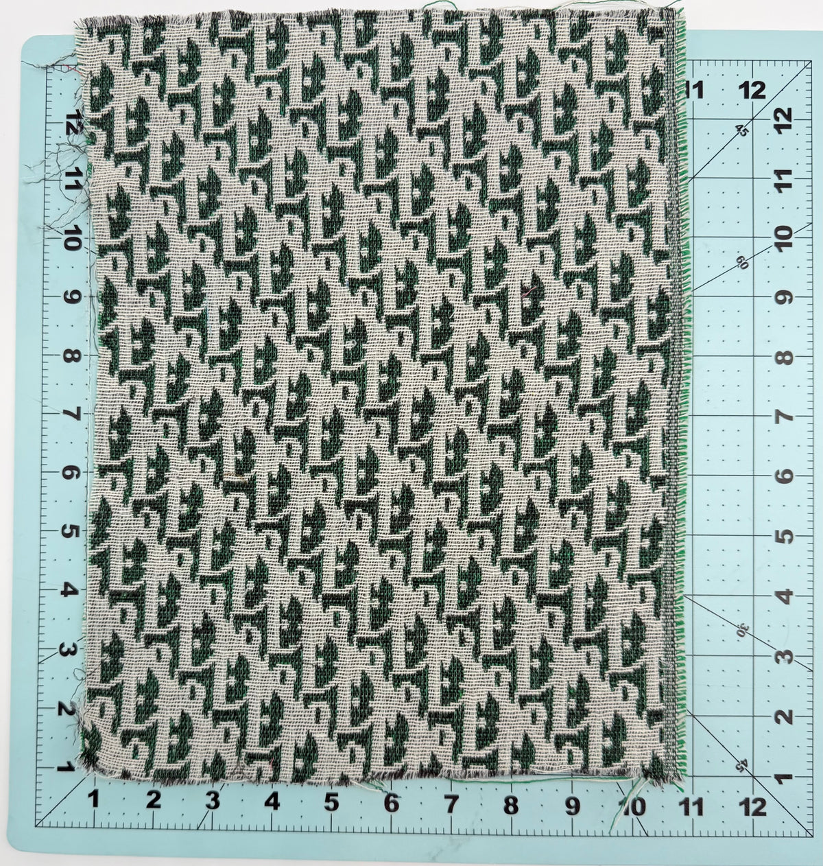 2PC “DIOR” LOGO FABRIC SET